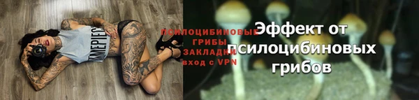 2c-b Балабаново