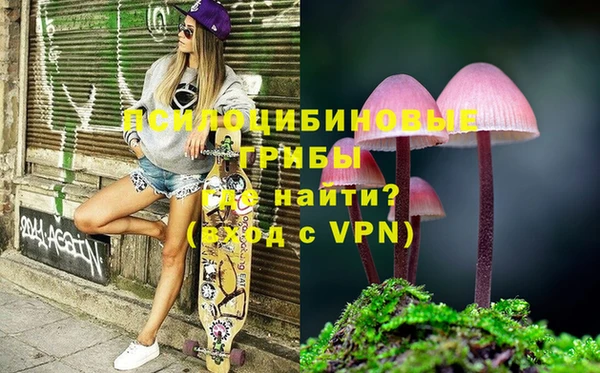 ПСИЛОЦИБИНОВЫЕ ГРИБЫ Балахна