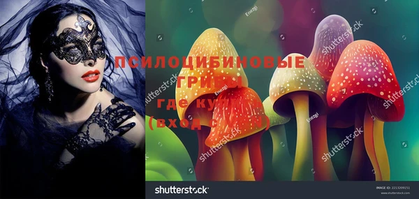 ПСИЛОЦИБИНОВЫЕ ГРИБЫ Балахна