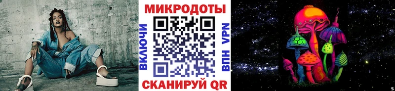 дарнет шоп  Котельники  Псилоцибиновые грибы Psilocybe 